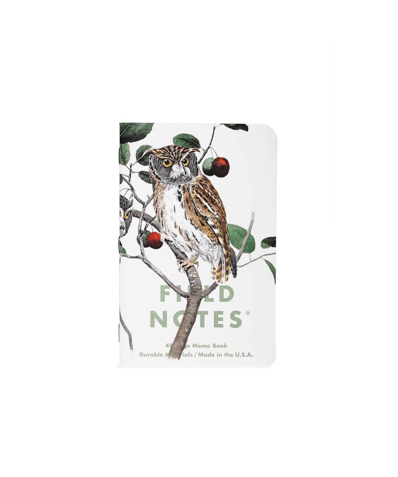 Field Notes  Screech Owl, Blue Jay, Brewer Sparrow