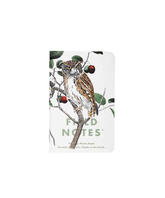 Field Notes  Screech Owl, Blue Jay, Brewer Sparrow