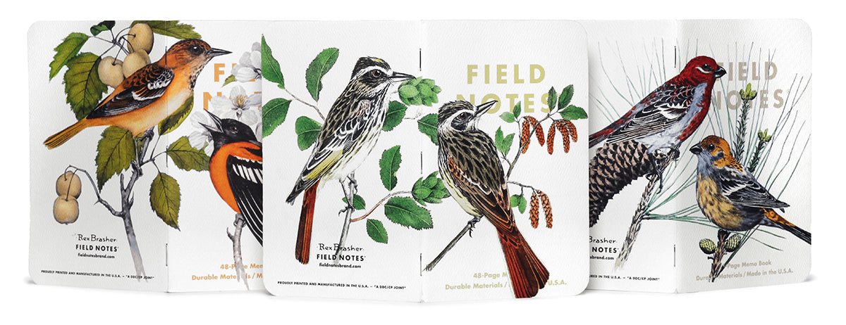 Field Notes  Pine Grosbeak, Baltimore Oriole, Sulphurbelly Flycatcher