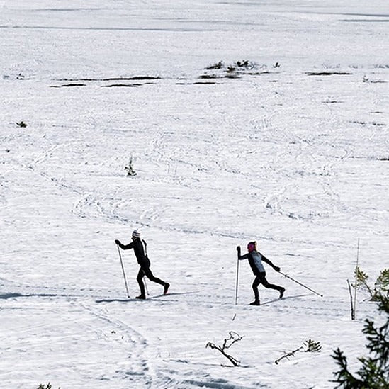 Madshus Redline Classic LTD Skis – 2024