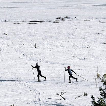 Madshus Redline Classic LTD Skis – 2024