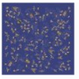 Liberty Mountain BEES BANDANA