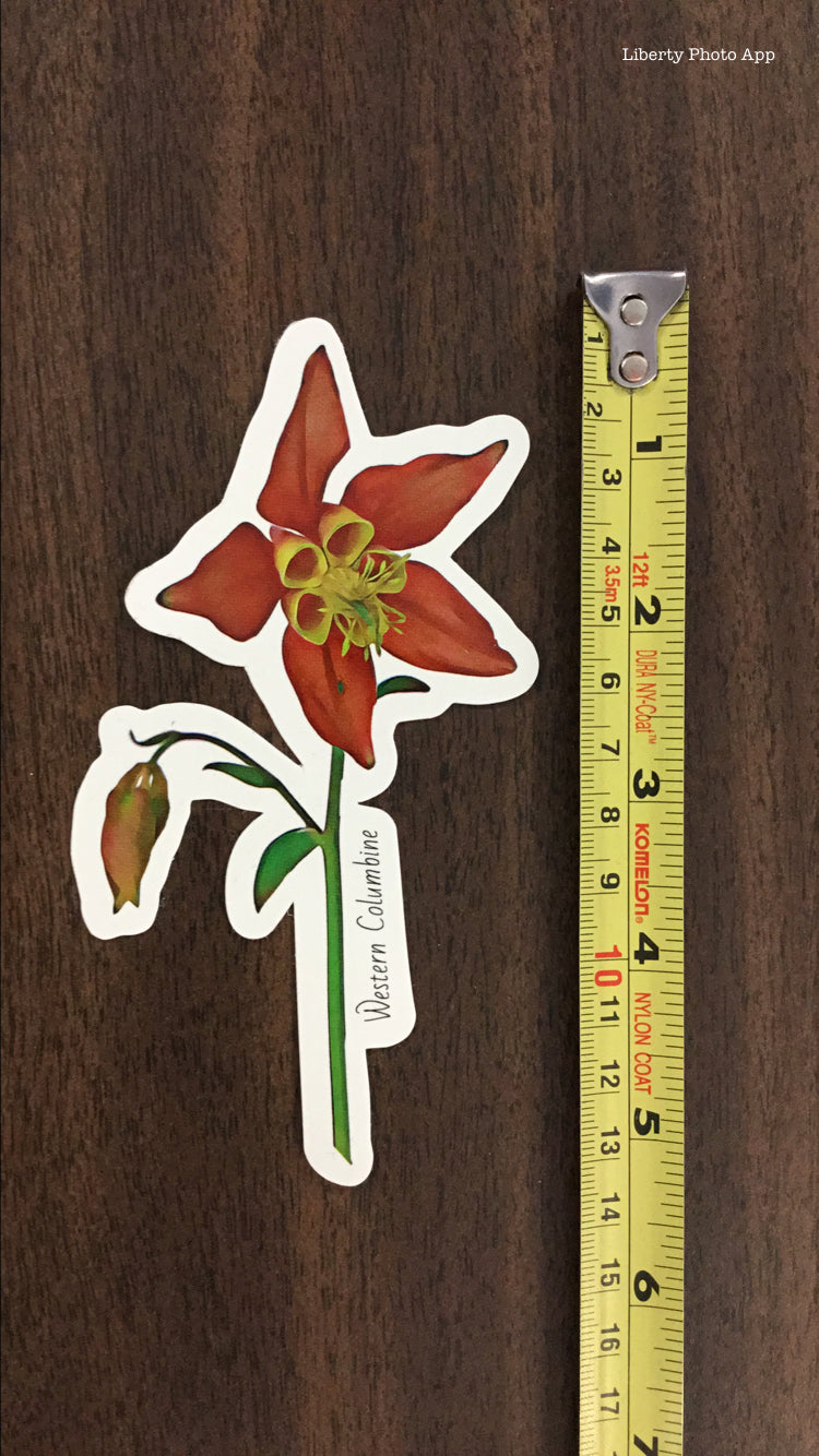 'Large Western Columbine' Sticker - The Hoarding Marmot