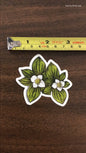 'White Dwarf Dogwood' Sticker