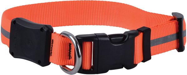 NiteIze NiteDawg LED Dog Collar - The Hoarding Marmot